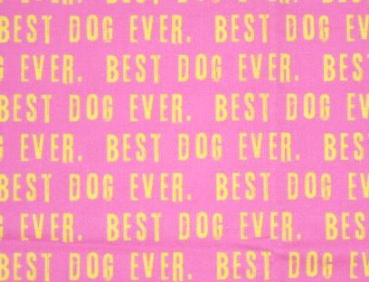 Best Dog Ever on Pink dog collar #3